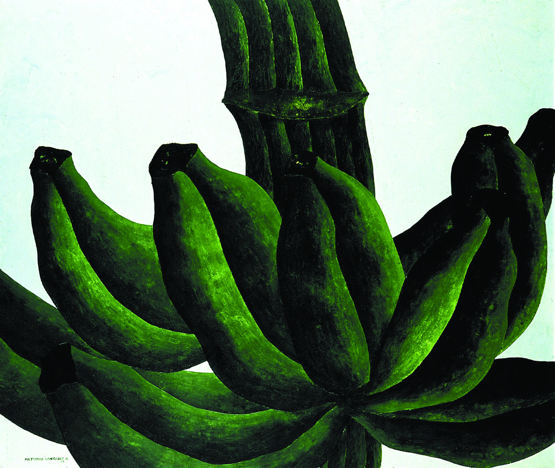 Brasiliana 9, de Antonio Henrique Amaral